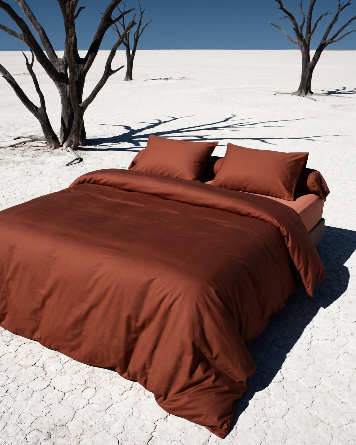 King Duvet Cover Set 240x220 with 2 Pillowcases · Italian Cotton Sateen · Argilla scura